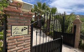 Los Olivos